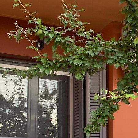 Lefkas Apartment Kalligoni エクステリア 写真